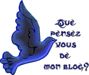 que pense tu de mon blog nabou